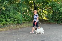 20.-XX-Szkolna-Wystawa-Psow
