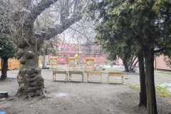 IMG-20251202-WA0001