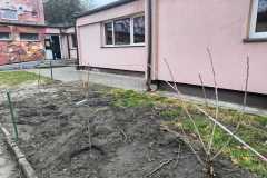 IMG-20251202-WA0006