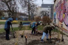 IMG_20251120_100349176