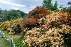 24.-Plener-malarski-w-Mosznej