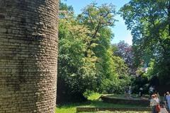 6.-Plener-w-Cieszynie