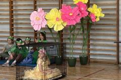 10.-Premiera-Zespolu-Teatralnego-Zarcik