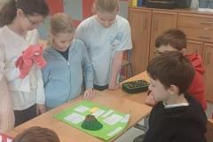 1.-Projekty-historyczne