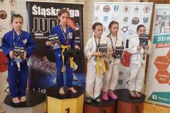 3.20C59AlC485ska20Liga20Judo