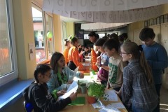 14.-Festiwal-Naukowy