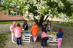 11.-Wiosna-w-Spolecznej