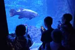 2.-Wycieczka-do-Zoo-we-Wroclawiu
