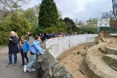 9.-Wycieczka-do-Zoo-we-Wroclawiu