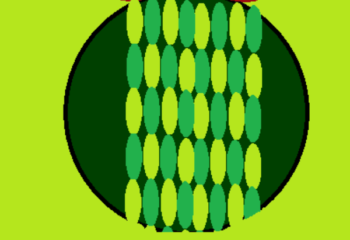 1. Świąteczne prace uczniów SSP 1. Świąteczne prace uczniów SSP